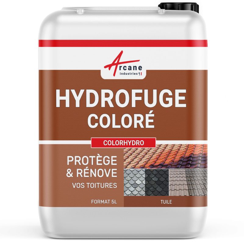 Traitement Hydrofuge coloré toiture en Rhône-Alpes Auvergne